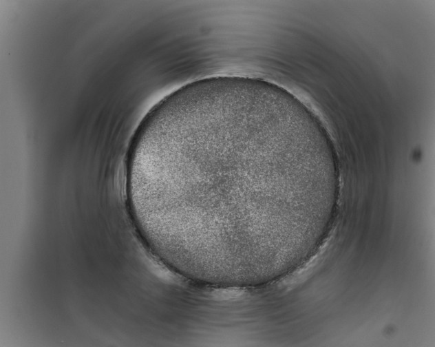 X0000100400838200807032011