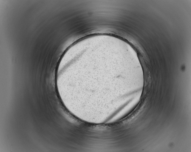 X0000100400842200807032011