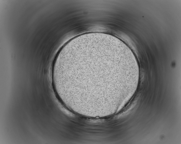 X0000100400843200807032011