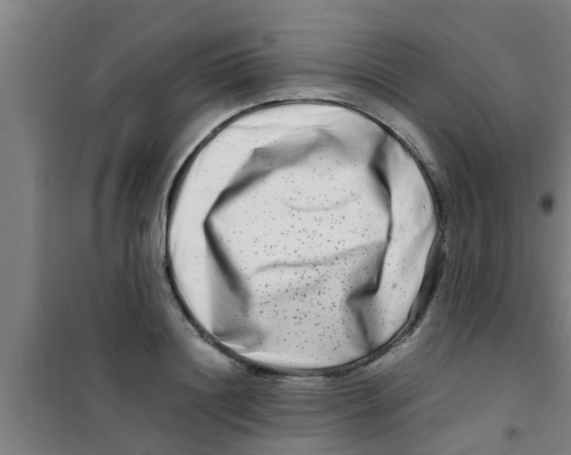 X0000100400844200807032011
