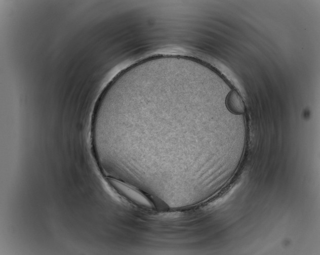 X0000100400845200807032011