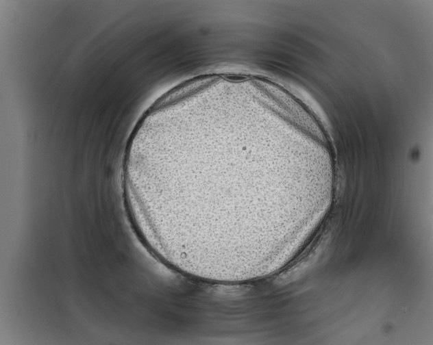 X0000100400847200807032011