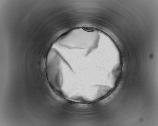 X0000100400849200807032011