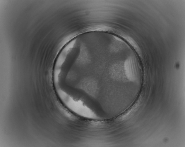 X0000100400850200807032012