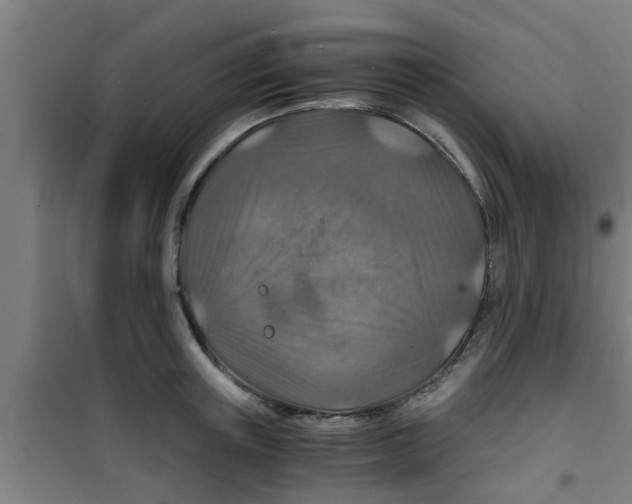 X0000100400851200807032012