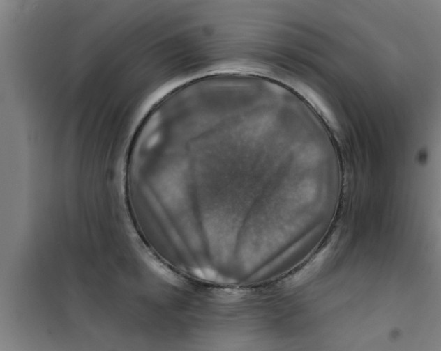 X0000100400854200807032012