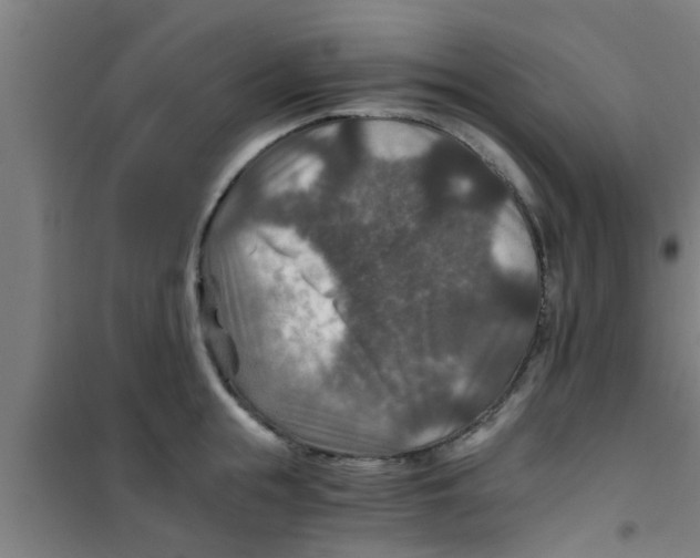 X0000100400855200807032012