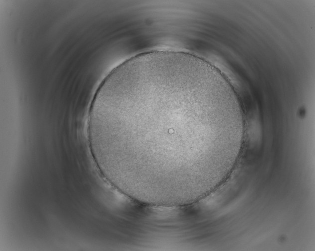 X0000100400856200807032012
