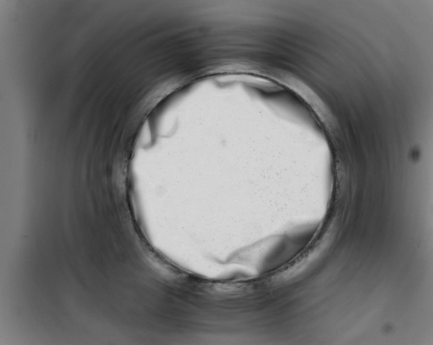 X0000100400857200807032012