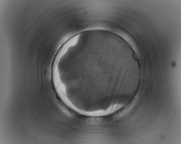 X0000100400858200807032012