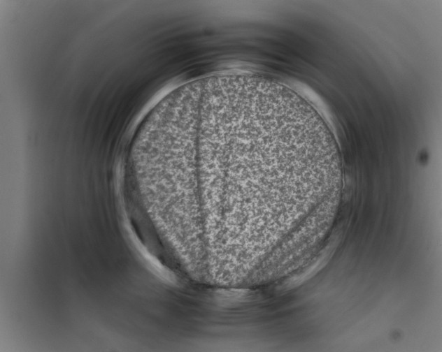 X0000100400859200807032012