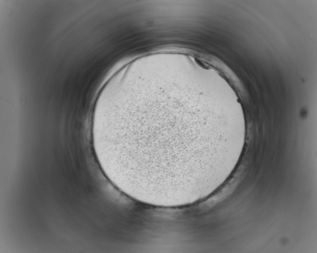 X0000100400860200807032012