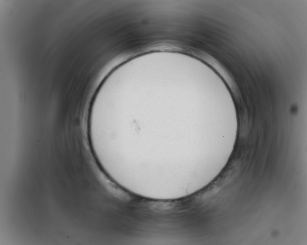 X0000100400861200807032012