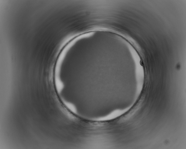 X0000100400862200807032012
