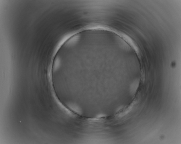 X0000100400863200807032012