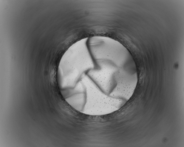 X0000100400866200807032011