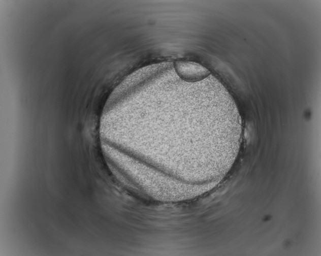 X0000100400867200807032011