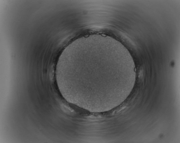 X0000100400868200807032011