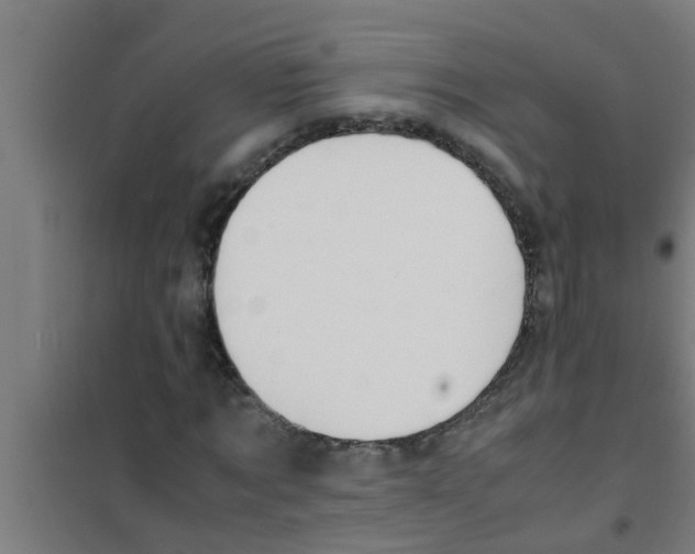 X0000100400869200807032011