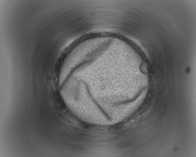 X0000100400871200807032011