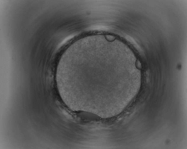 X0000100400872200807032011