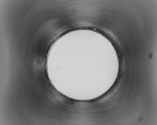 X0000100400873200807032011