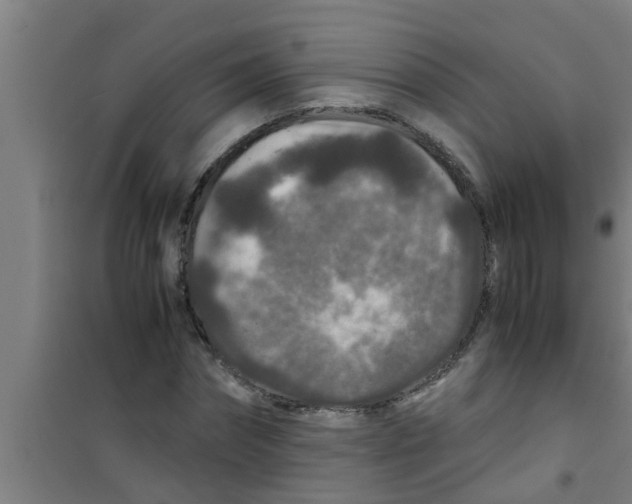 X0000100400874200807032011