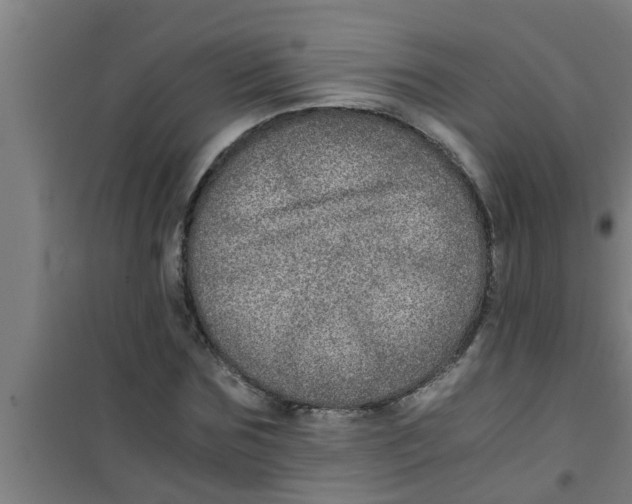 X0000100400875200807032011