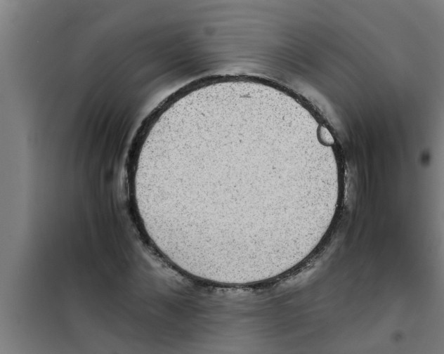 X0000100400876200807032011