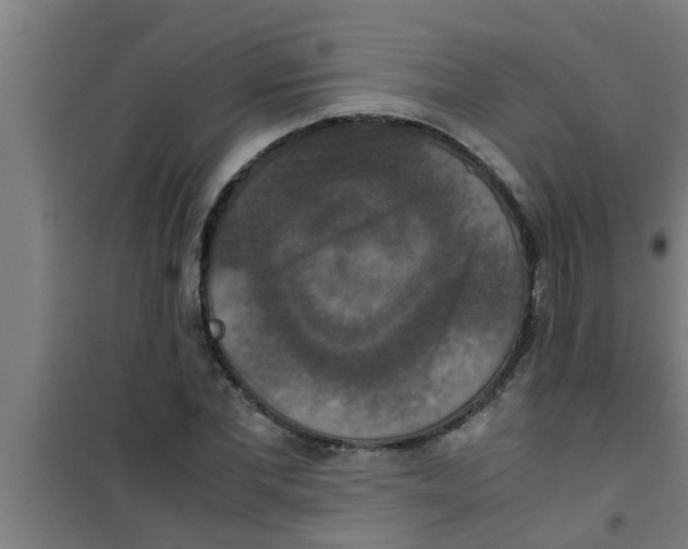 X0000100400877200807032011