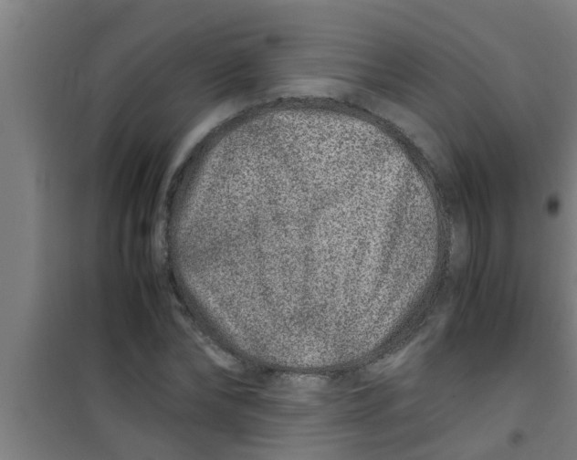 X0000100400878200807032011