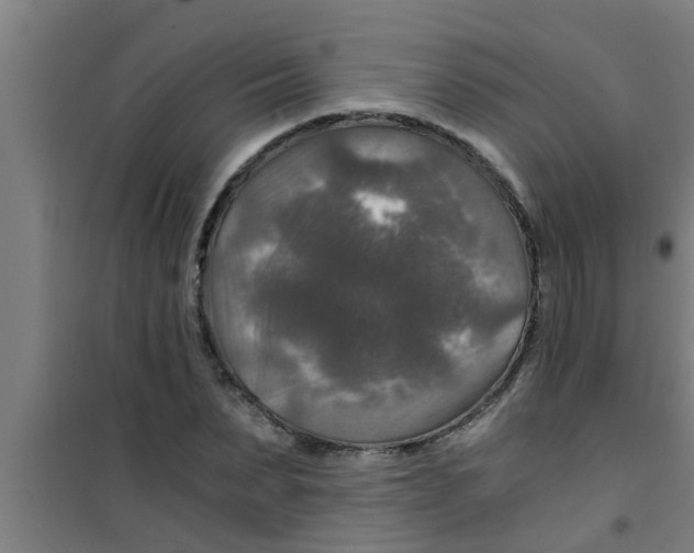X0000100400879200807032011