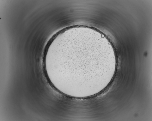X0000100400880200807032011