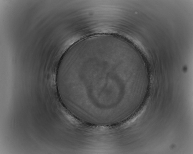 X0000100400881200807032011