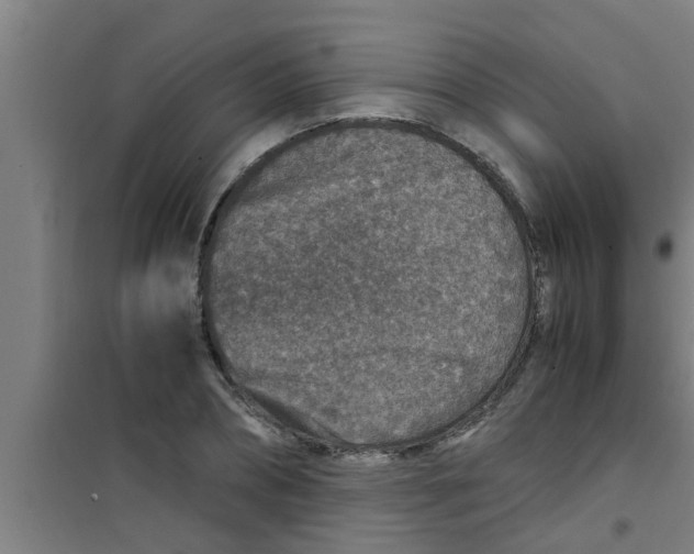 X0000100400882200807032011