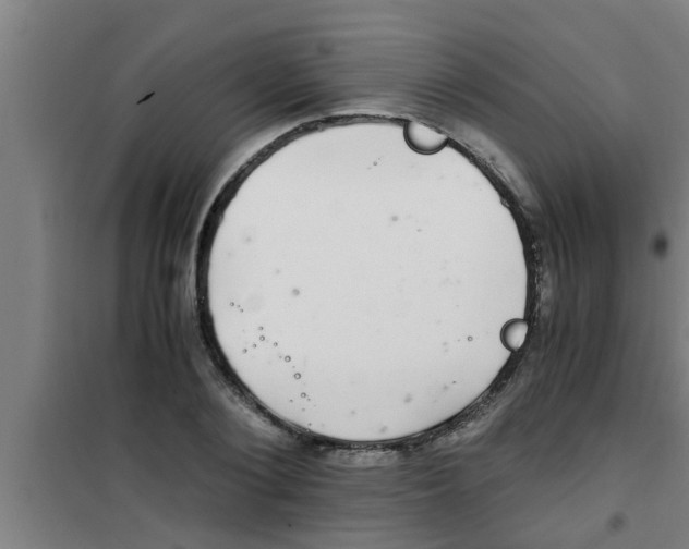 X0000100400884200807032011