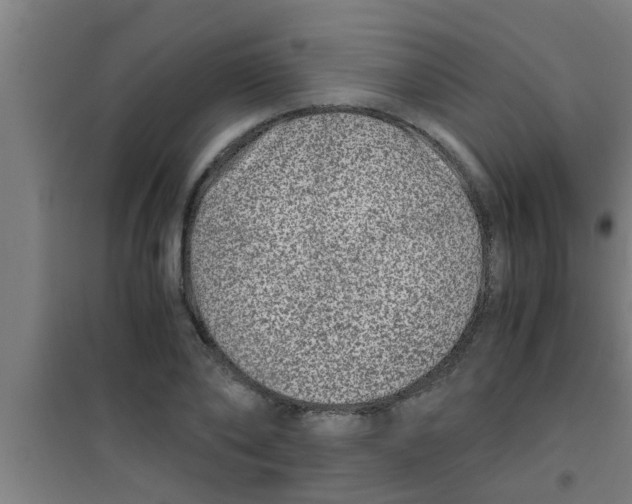X0000100400886200807032011