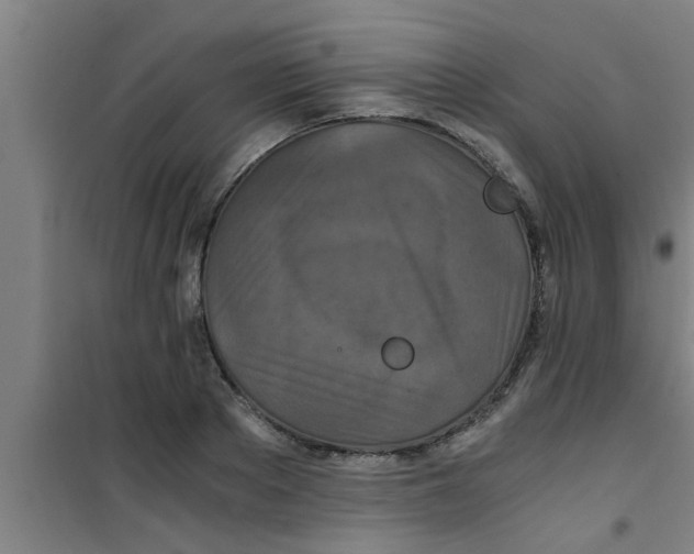 X0000100400889200807032011
