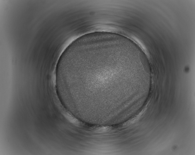 X0000100400891200807032011