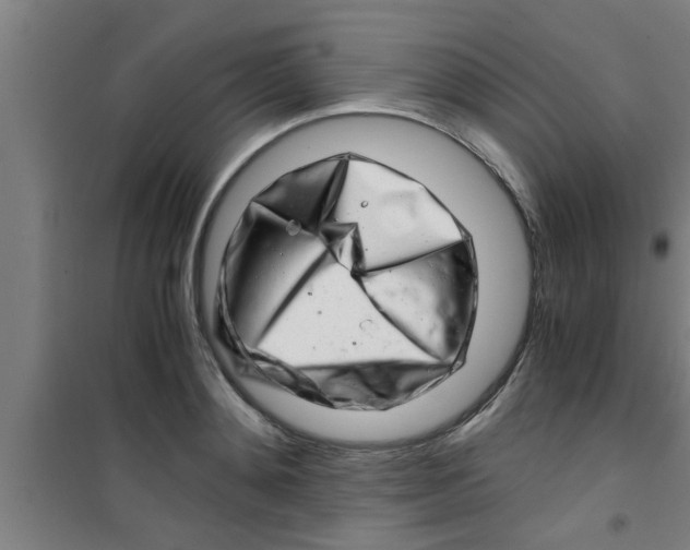 X0000100400892200807032011