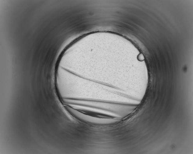 X0000100400894200807032011