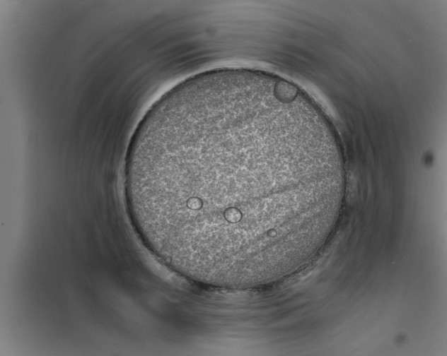 X0000100400895200807032011