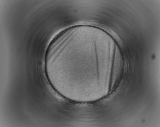 X0000100400896200807032011