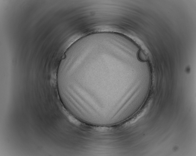 X0000100400897200807032011