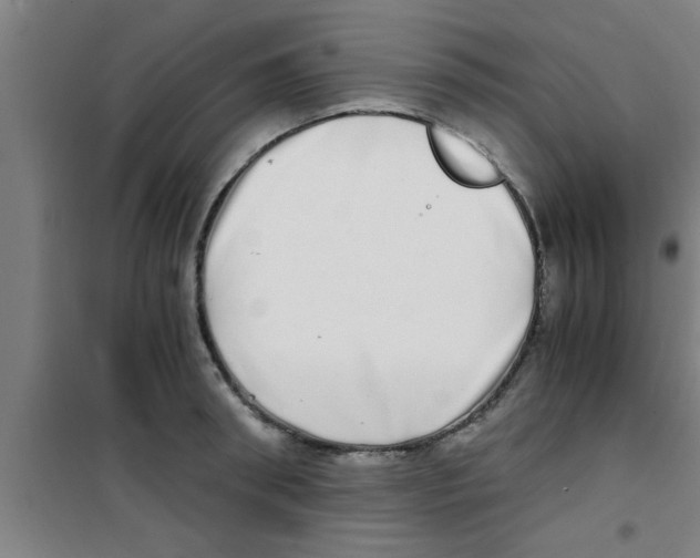 X0000100400898200807032011