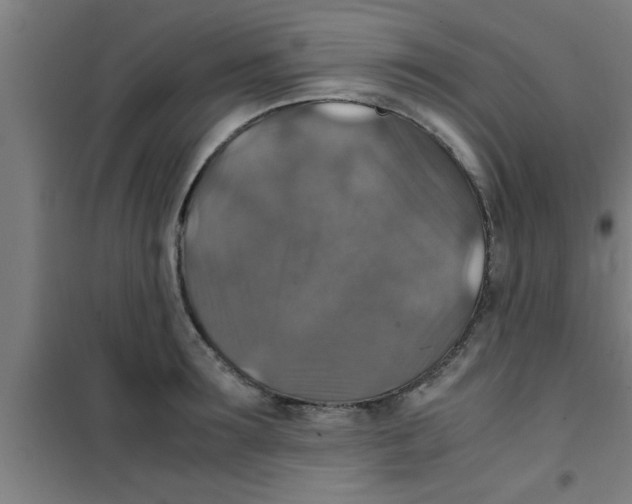 X0000100400899200807032011