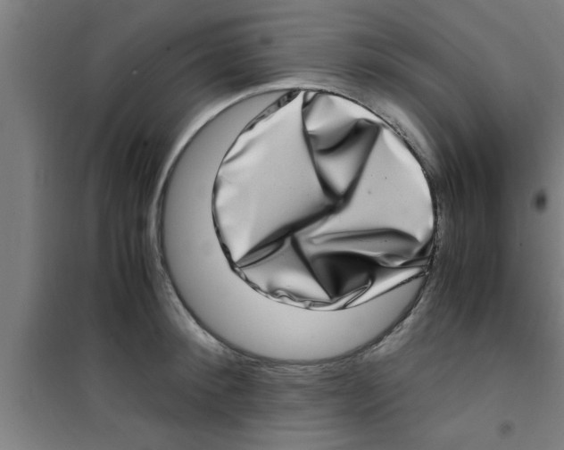 X0000100400900200807032011