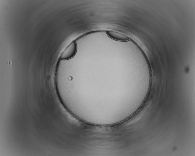 X0000100400901200807032010