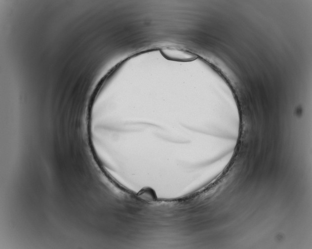 X0000100400902200807032010