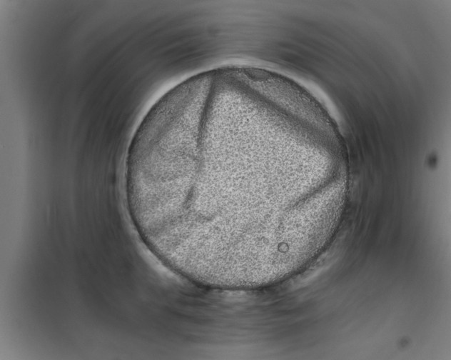 X0000100400903200807032010